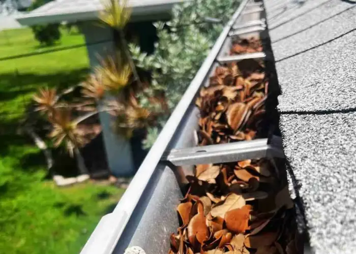 Shoreline gutter cleaning home page